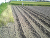 Soba03
