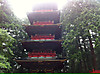 Photo_10