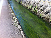 Photo_2