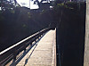 Photo_11